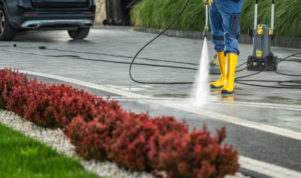 Best Animal Enclosure Cleaning  in Woodcreek, TX